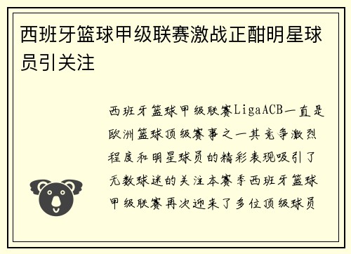 西班牙篮球甲级联赛激战正酣明星球员引关注